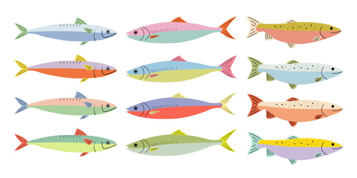 Hand drawn colorful fish illustrations. Sardine, mackerel, and trout in cartoon style. Flat sea fish clipart design for kitchen, cooking, packaging, and seafood market designs.