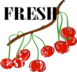 Fresh – czereśnia © Laura
