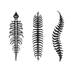 Stylized black and white vector illustration of spinal bone designs, artistic and tribal spine motifs suitable for decorative elements.