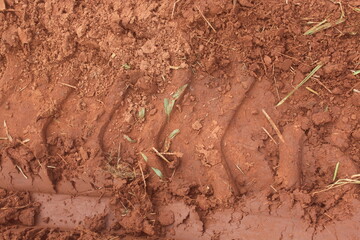 texture of the ground, 