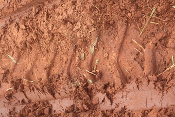 Soil Compaction Caused by Heavy Agricultural Machinery