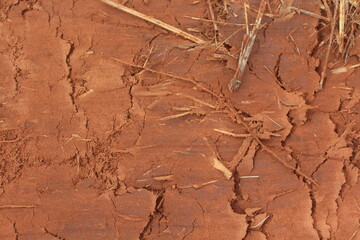 Ground Texture After Agricultural Machinery Passage.