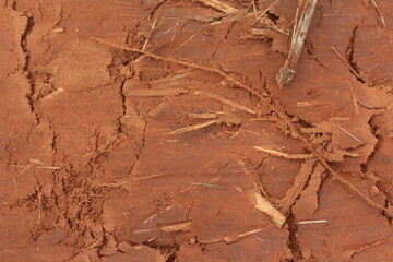 Leveled soil with bucket imprint, Tractor Imprints on a Plowed Field