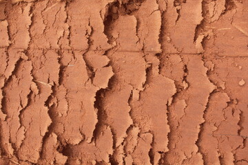 Soil Texture After Mechanical Processing.