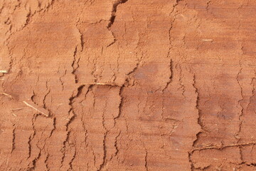 Leveled Field Surface with Machinery Imprints.