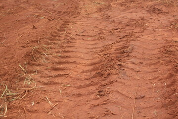 Soil Texture After Mechanical Processing.
