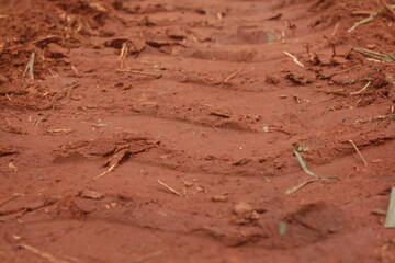 soil of soil