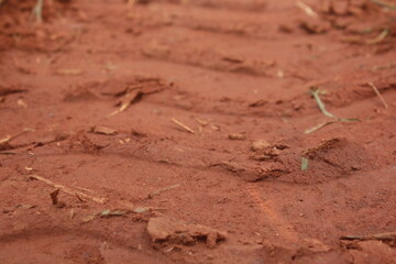 soil in the ground