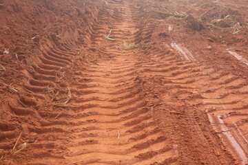 Cleared Land: Clay Soil, Tractor Traces, and Weed Remnants
