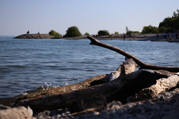 Landscape view of lake and beach, photo was taken from Rough Hill, Toronto. The photo was taken in East York on 30 June 2025 
