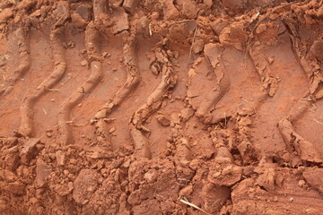 Tractor Tire Track on the Ground