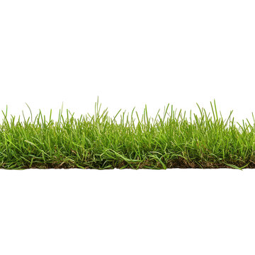 strip of green fresh grass side view, Side view of a vibrant strip of fresh green grass, isolated on transparent background