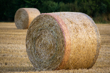 Field of hay bales, agriculture, country life