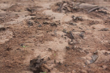 soil, soil structure