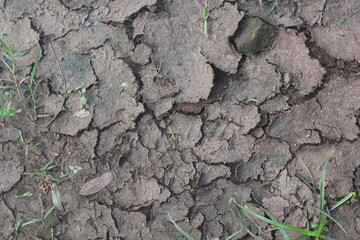 cracked soil texture