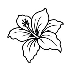 elegant hibiscus line art flower sketch