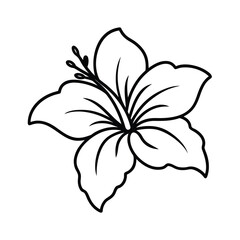elegant hibiscus line art flower sketch © misttahmina