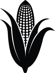 corn on a white background