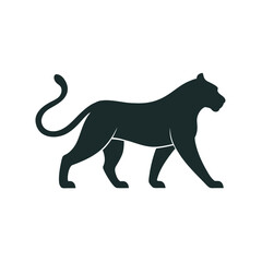 Tiger Walking Proud With Tail Raised