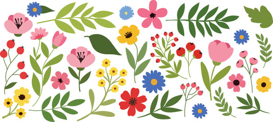 Spring and Summer Floral Collection. Hand Drawn Wildflowers, Leaves, Herbs and Plants. Vector Flat Illustration Set of Hand Drawn Flowers and Foliage. Spring Botanical Elements, Wild 