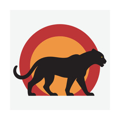 Tiger Walking With Sun Behind Silhouette