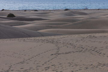 Sand dunes in the Maspalomas area of ​​Gran Canaria Spain