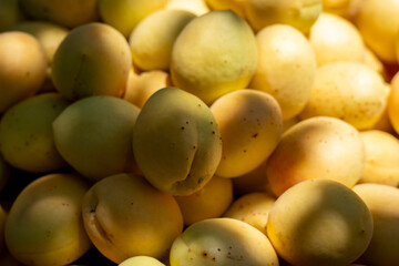Fresh Apricotfresh apricots; natural light; fruit basket; summer harvest; ripe fruit; shadows;...