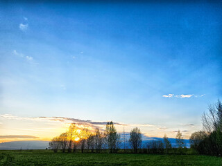 Golden sunset over open fields with scattered trees and clear blue sky