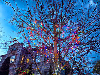 Colorful holiday lights draped over a bare tree in a residential area during twilight