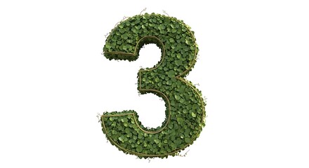 Green Grass Number Three Nature's 3D Digit