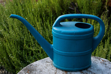 Gardening, blue watering can in the garden