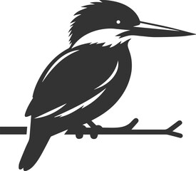 Vector silhouette of a kingfisher black illustration drawing