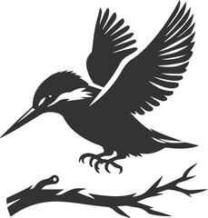 Vector silhouette of a kingfisher black illustration drawing