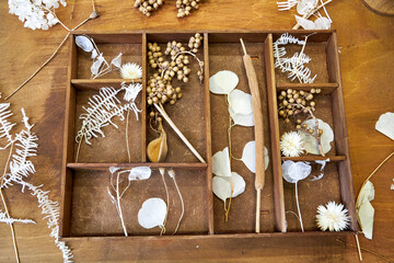 Handmade dried flower collage arranged in a vintage wooden organizer. A botanical composition of...