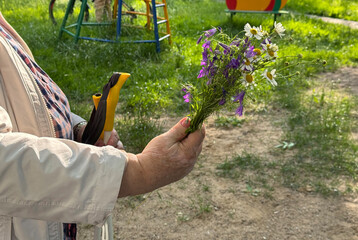 Hand palm of mature woman grandmother holding simple bouquet of wild flowers including purple and white flowers. Outdoor, country scene with sunlight