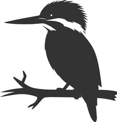 Vector silhouette of a kingfisher black illustration drawing