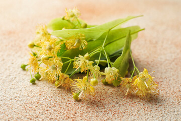 Beautiful linden flowers and green leaves on color textured table, closeup