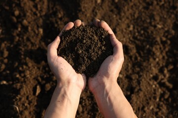 Man holding pile of soil in field, top view