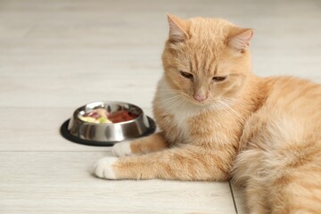Cat with bowl full of raw natural products indoors. Pet's balanced diet