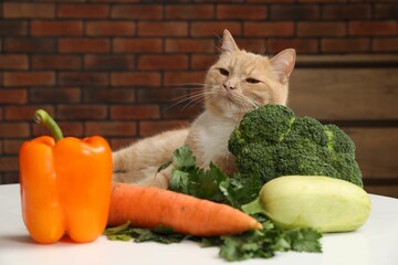 Cat and different vegetables on white table indoors. Pet's balanced diet