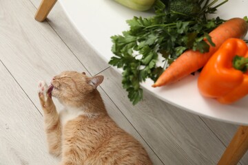 Different vegetables on table and cute cat indoors, top view. Pet's balanced diet