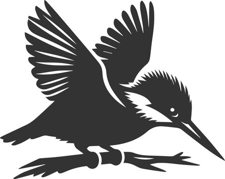Vector silhouette of a kingfisher black illustration drawing
