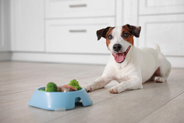 Cute dog and bowl with fresh natural products on floor at home, selective focus. Pet food