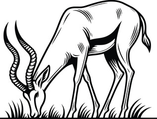 Antelope Eating Grass line art vector illustration isolated on a white background
