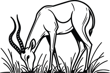 Antelope Eating Grass line art vector illustration isolated on a white background
