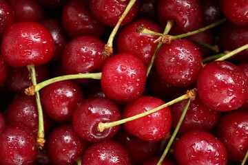 Many wet ripe cherries as background, closeup