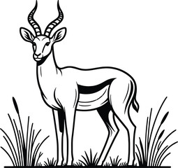 Antelope Eating Grass line art vector illustration isolated on a white background
