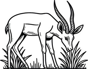 Antelope Eating Grass line art vector illustration isolated on a white background
