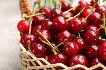 Wet ripe cherries in basket on light table, closeup