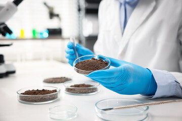 Scientist holding Petri dish with soil sample at white table indoors, closeup